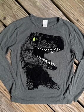 Crewcuts J. Crew Boys Gray Dinosaur Long Sleeve T-Shirt Graphic Tee Size 10
